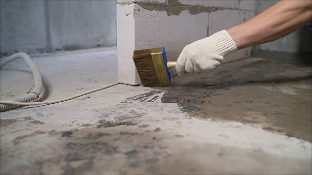 SJ Waterproofing Pros Sump Pump Installation coverage map for Jasper, AL and surrounding area